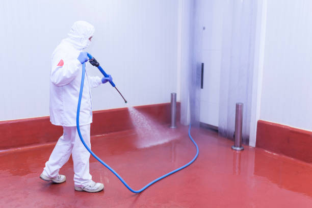 Best Roof Cleaning and Mildew Removal in East Palestine, OH