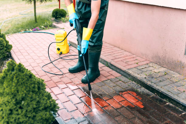 Best Soft Washing for Delicate Surfaces in East Palestine, OH